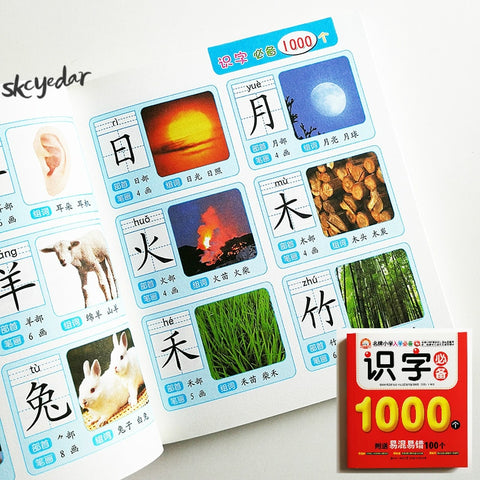 1000 Chinese Characters Picture Book for Children Learning Chinese Literacy Children Book with Pinyin Radical Stroke & Words